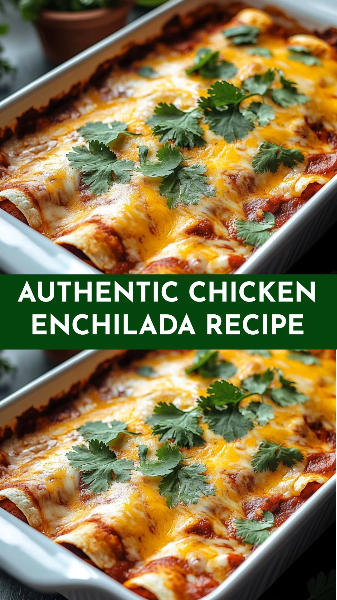 Authentic Chicken Enchilada Recipe
